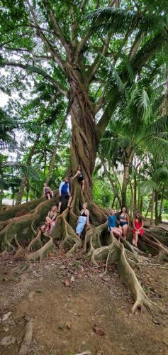 Yoga Retreat in Costa Rica
